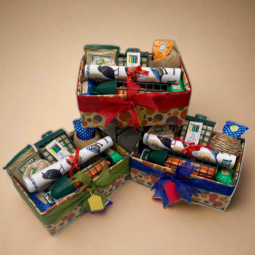 Children's Wild Bird Food Hamper Activity Box - Honest2Nature