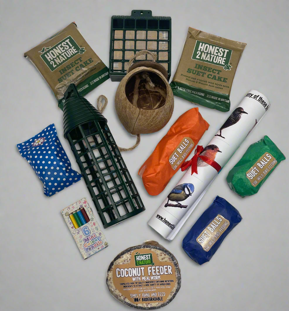 Children's Wild Bird Food Hamper Activity Box - Honest2Nature