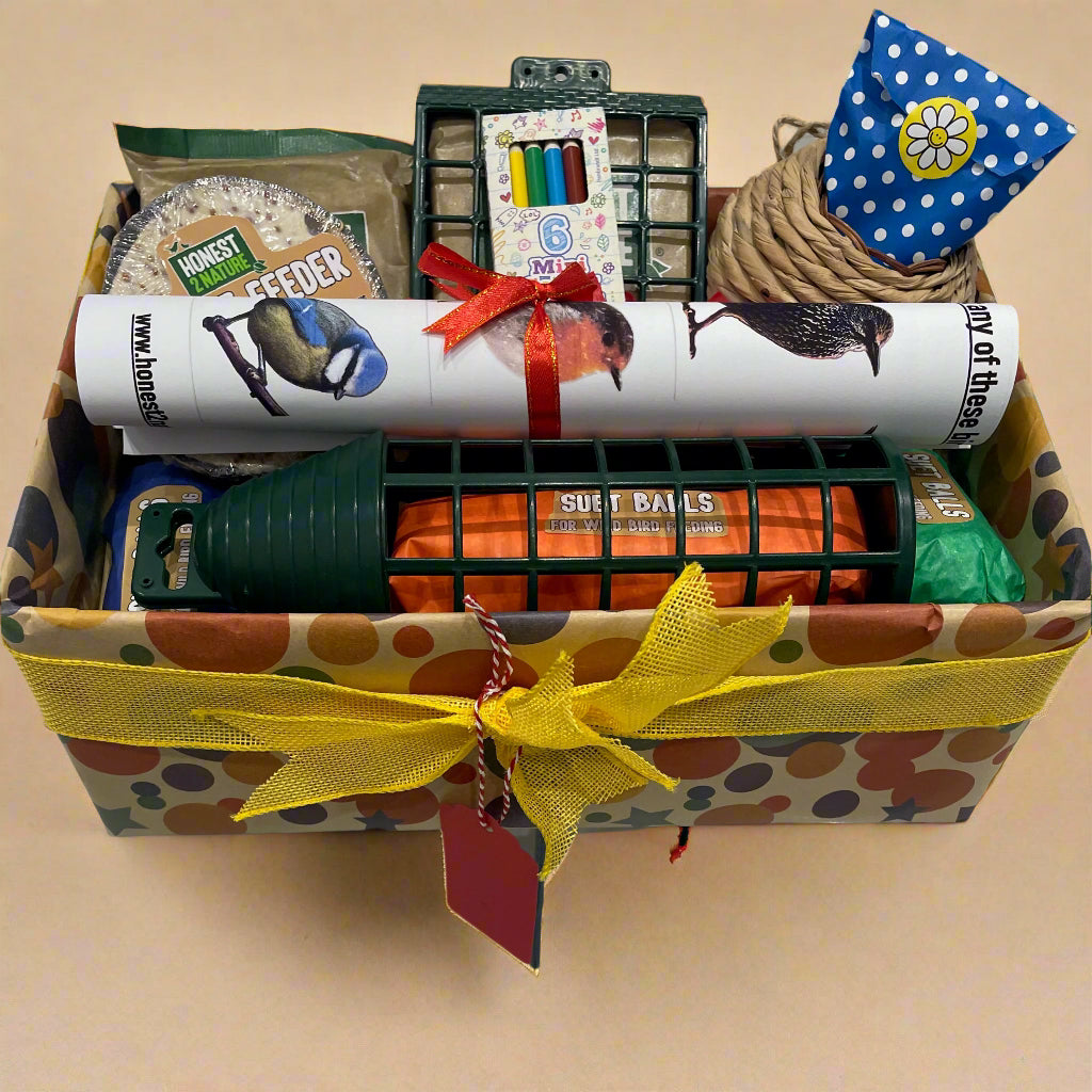 Children's Wild Bird Food Hamper Activity Box - Honest2Nature