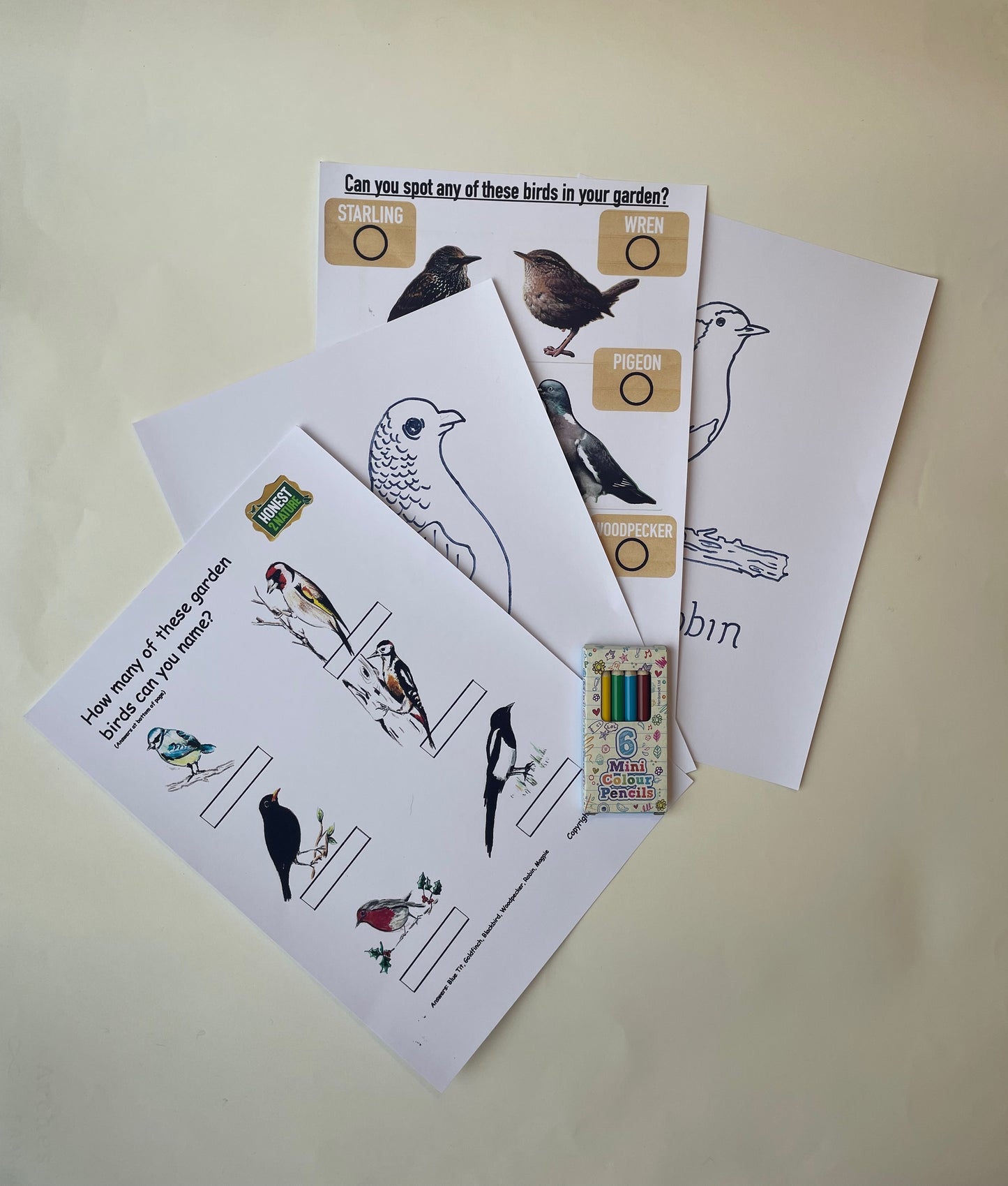 Children's Wild Bird Food Hamper Activity Box - Honest2Nature