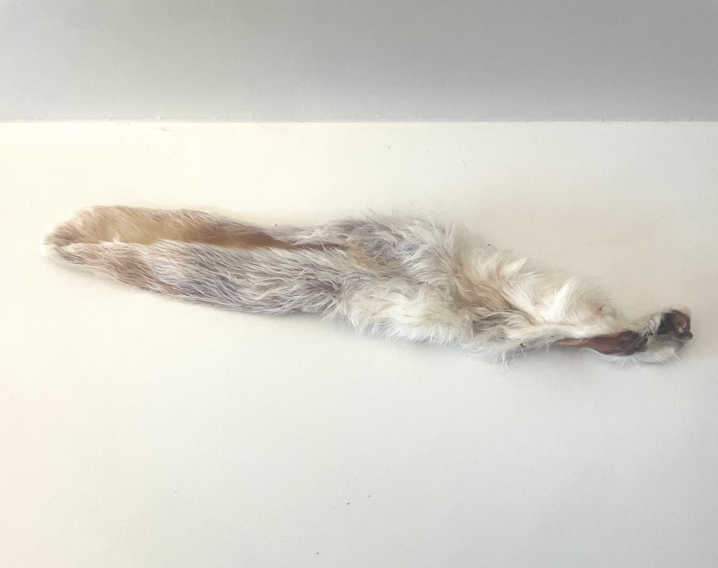 "Bunny Lugs" Rabbit Ears - Honest2Nature