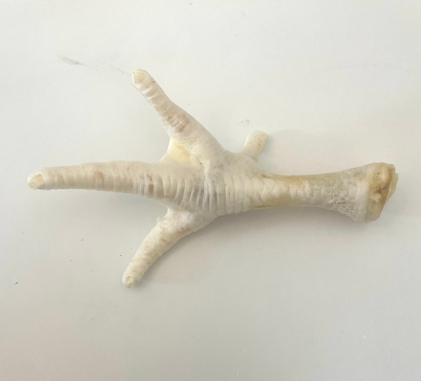 "Tippy Toes" Puffed Chicken Feet - Honest2Nature