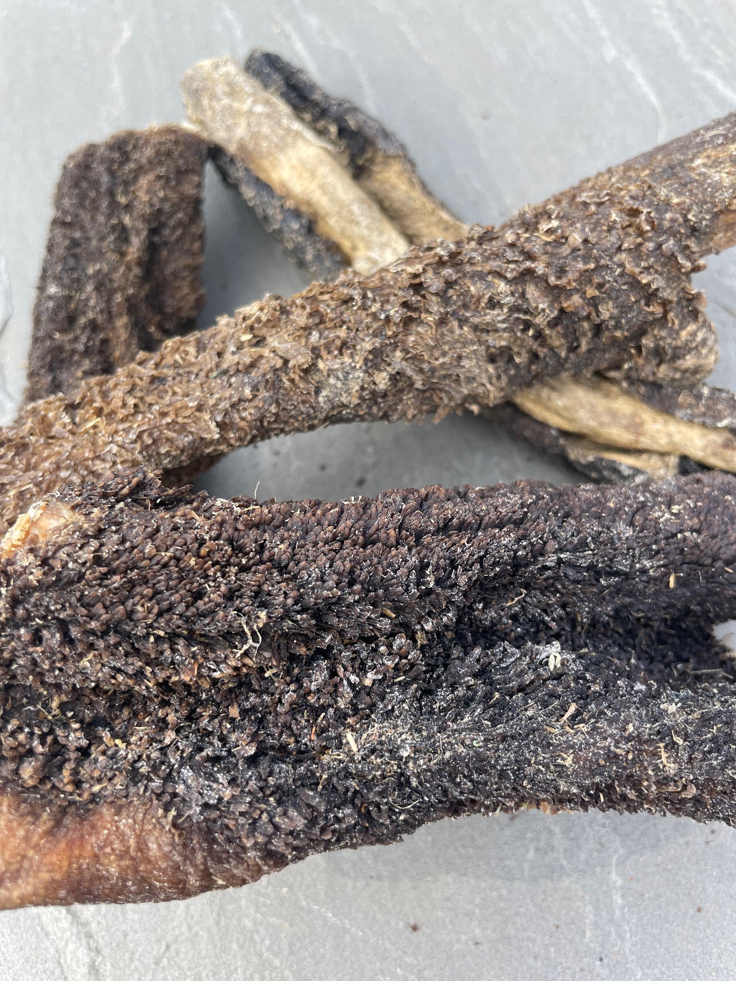 Dried Tripe - Honest2Nature