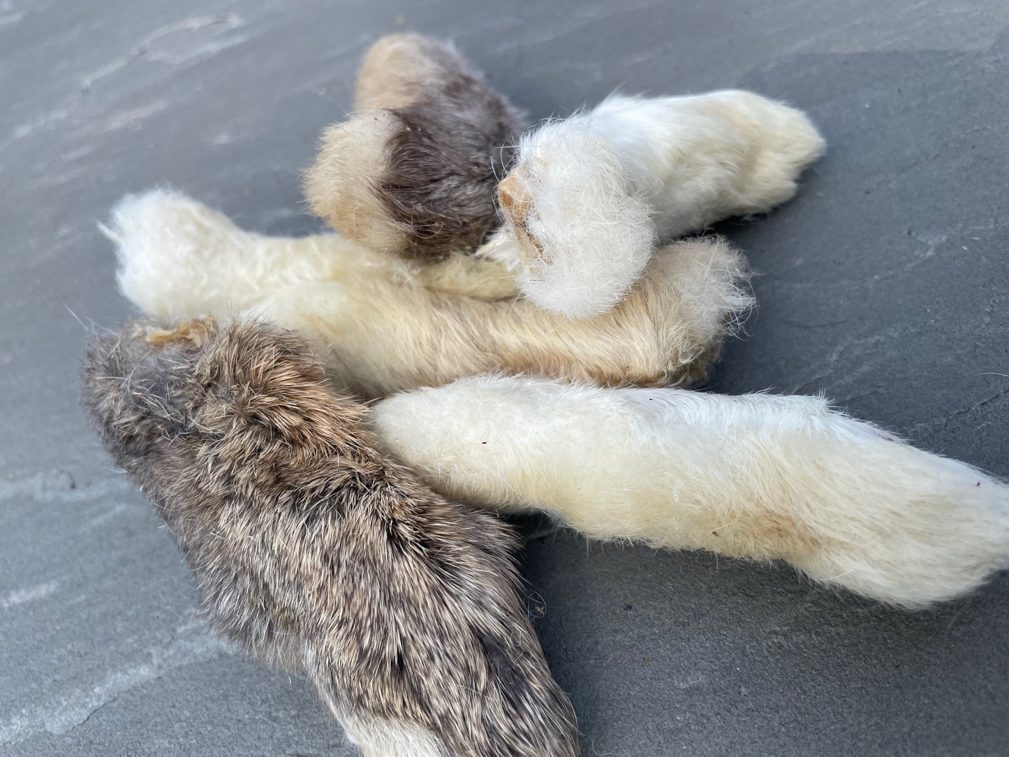"Tootsies" Rabbit Feet - Honest2Nature