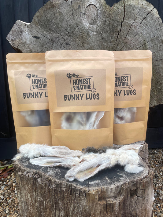 "Bunny Lugs" Rabbit Ears - Honest2Nature