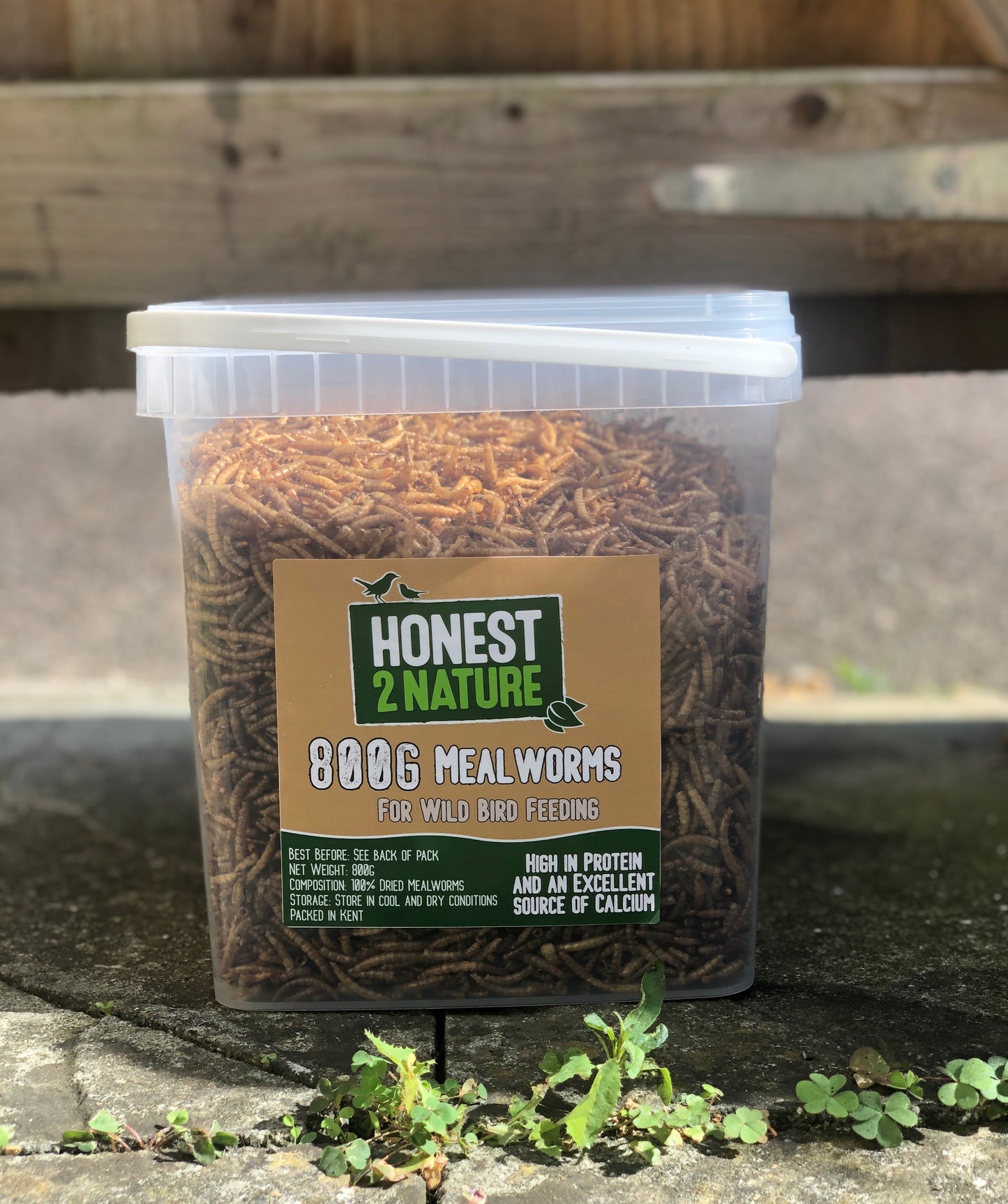 Mealworm 800G Tub - Honest2Nature