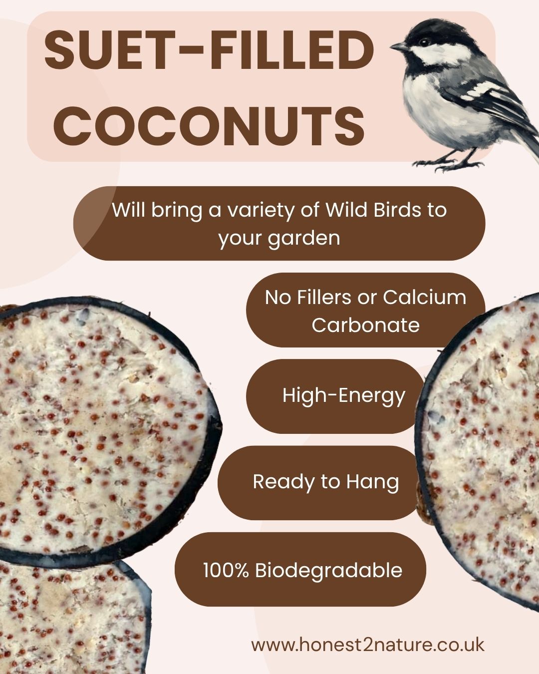 Suet-Filled Coconuts [Box of 10] - Honest2Nature
