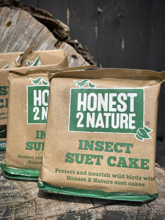 PREMIUM Insect Suet Cakes [Individual]- Honest2Nature