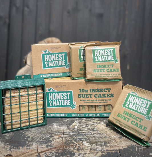 PREMIUM Insect Suet Cakes [Box of 10] - Honest2Nature