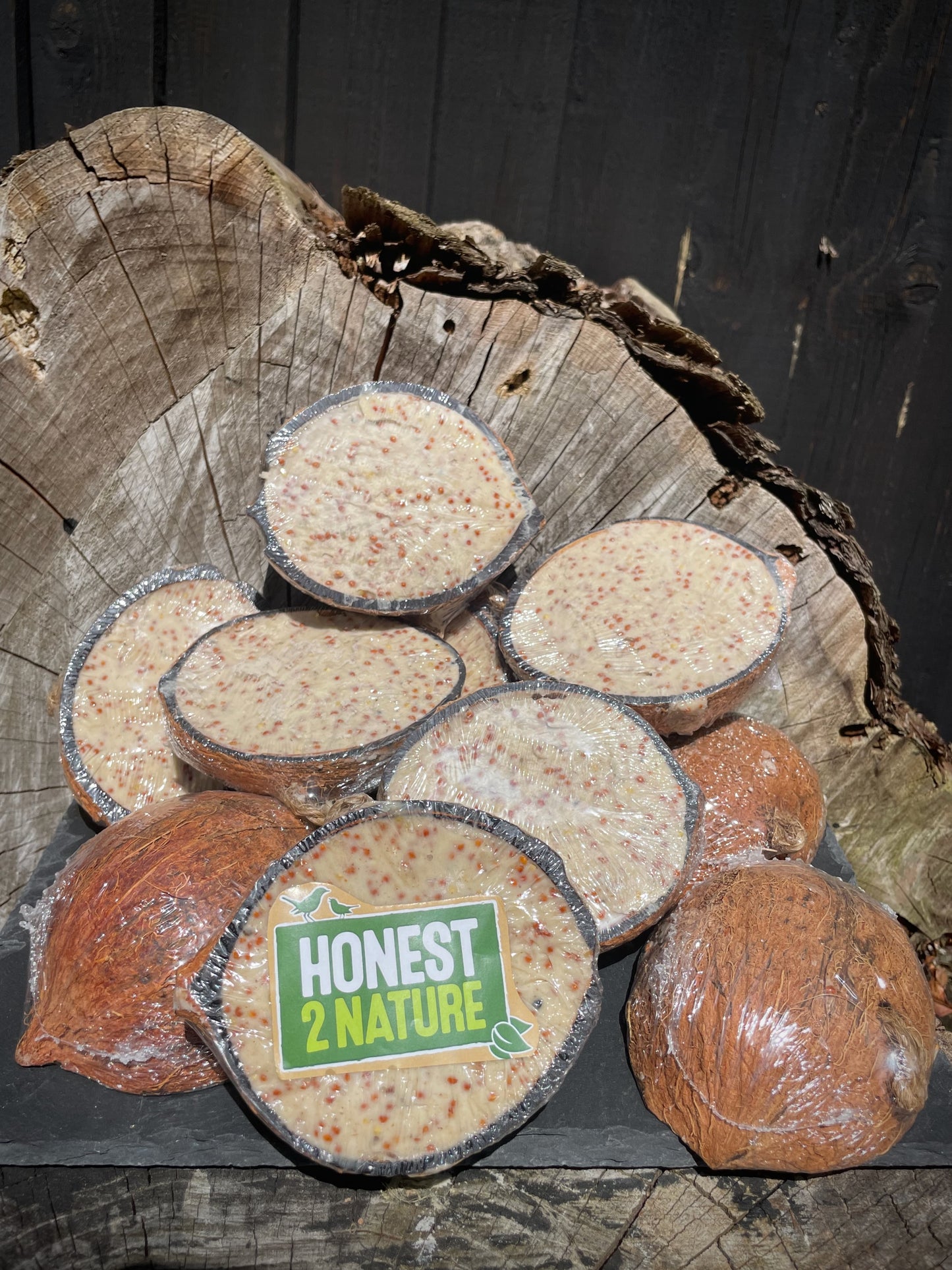 Suet-Filled Half Coconuts for Wild Bird feeding - Honest2Nature