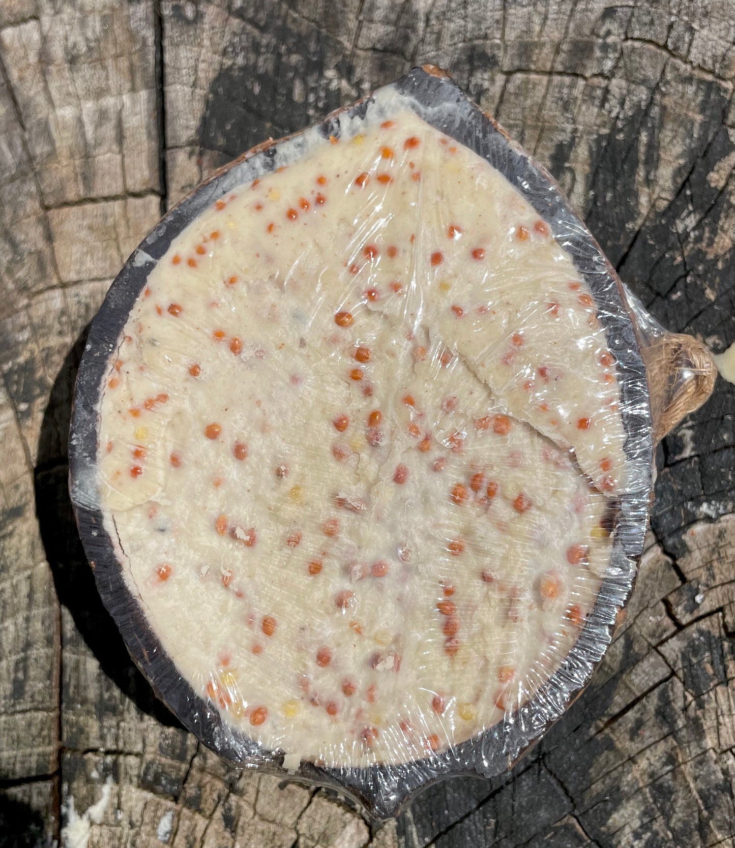 Suet-Filled Half Coconuts for Wild Bird feeding - Honest2Nature