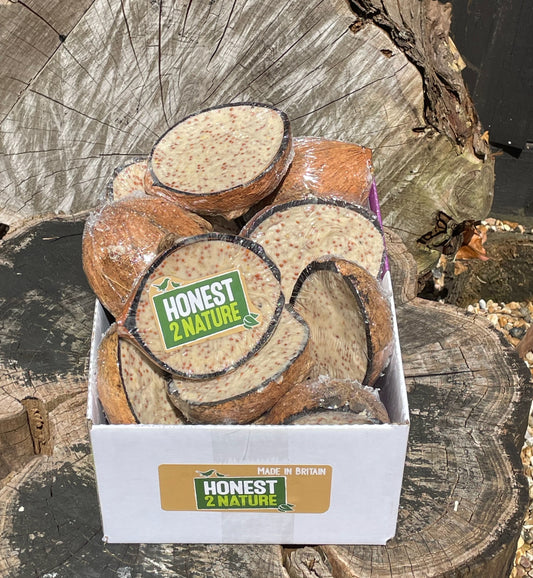 Suet-Filled Coconuts [Box of 10] - Honest2Nature