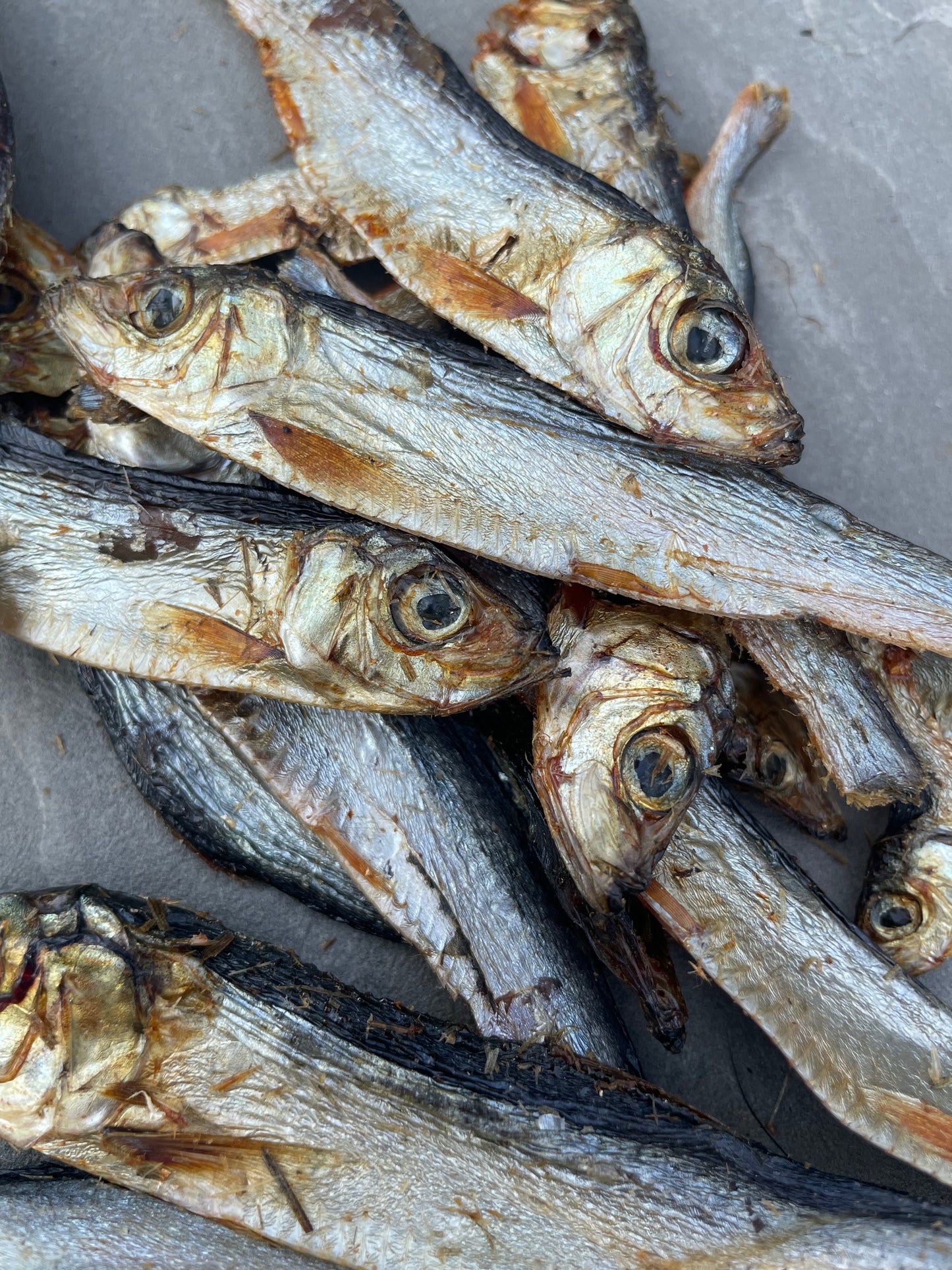 Sprats - Honest2Nature
