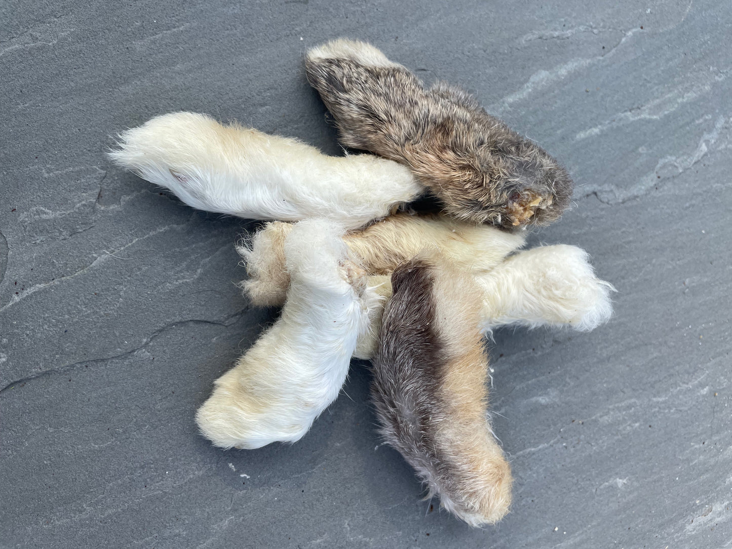 "Tootsies" Rabbit Feet - Honest2Nature