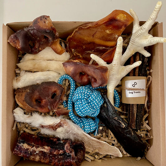 Dog Treat Selection Box [Large] with Toy - Honest2Nature