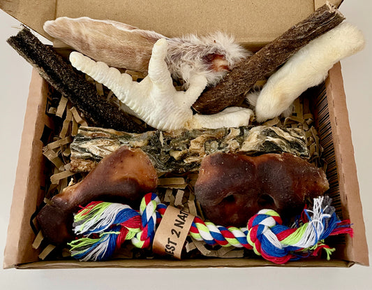 Dog Treat Selection Box [Small] with Toy - Honest2Nature