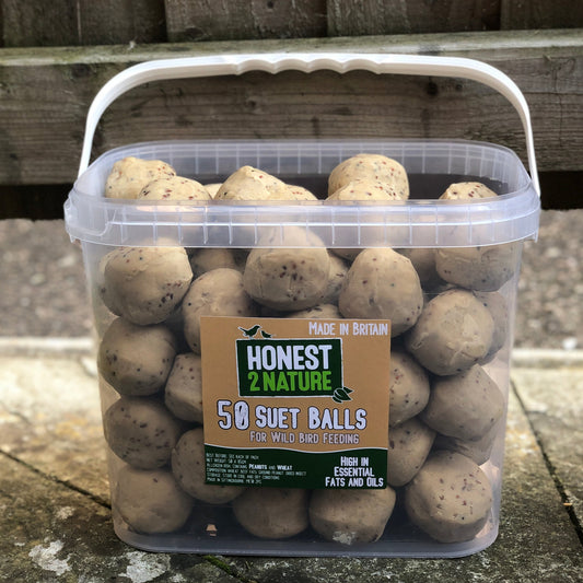 High-Protein Suet Balls Tub x50 - Honest2Nature