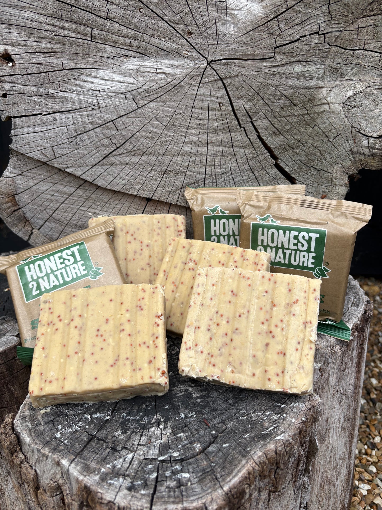 PREMIUM Insect Suet Cakes [Individual]- Honest2Nature