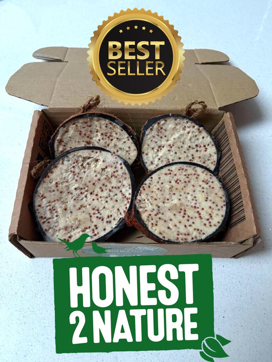Suet-Filled Half Coconuts for Wild Bird feeding - Honest2Nature