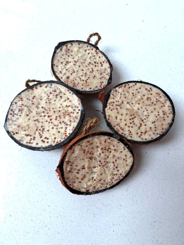 Suet-Filled Half Coconuts for Wild Bird feeding - Honest2Nature