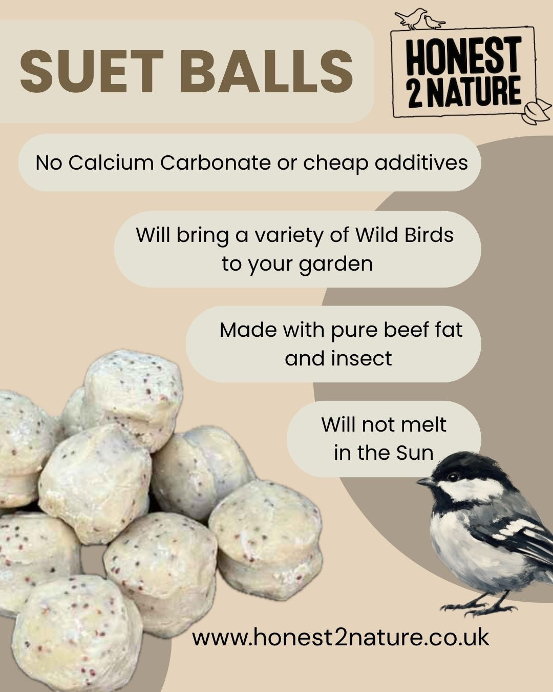 12 Suet Balls for Wild Bird Feeding - Honest2Nature
