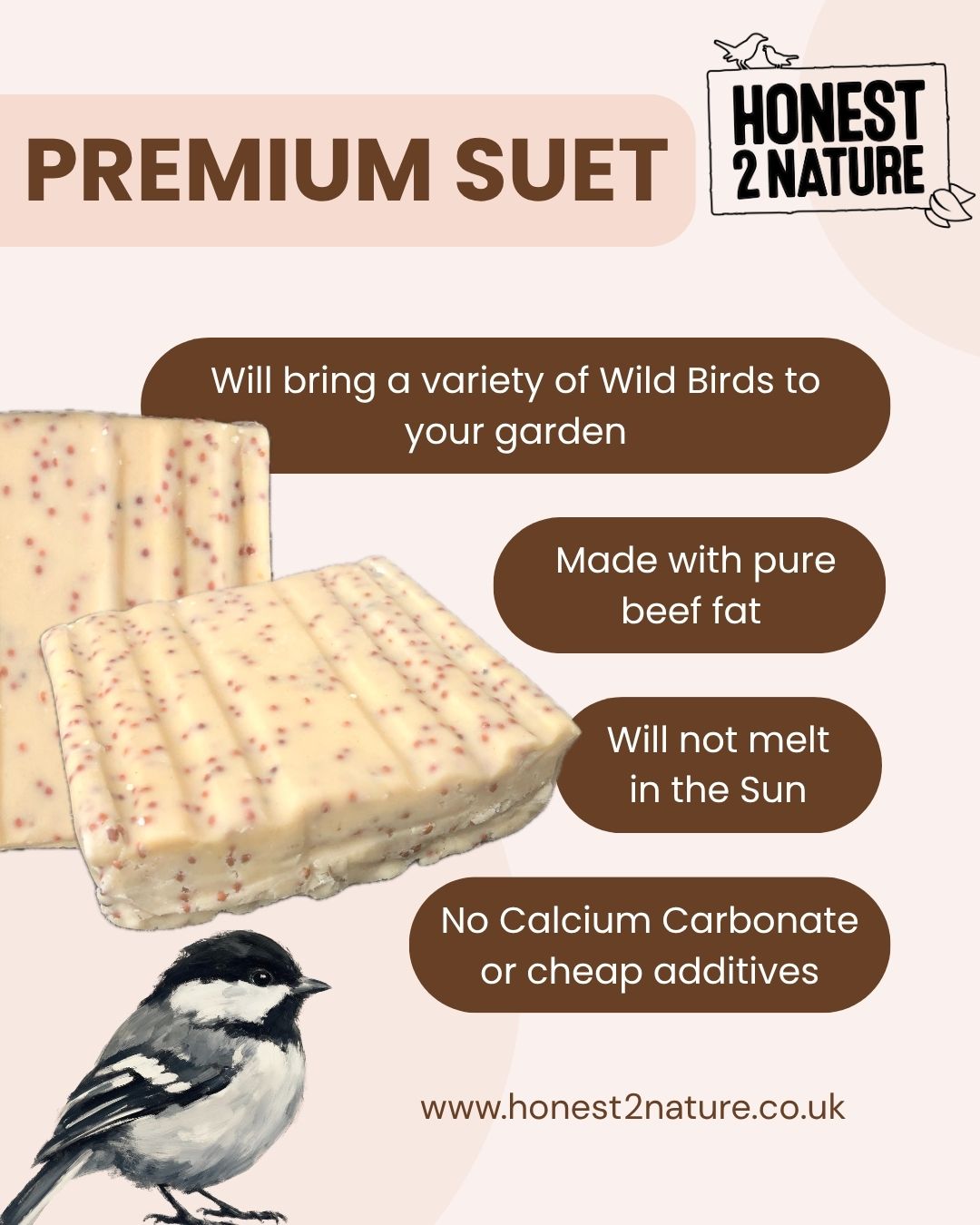 PREMIUM Insect Suet Cakes [Box of 10] - Honest2Nature